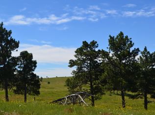 11999 Piney Lake Rd, Parker, CO 80134