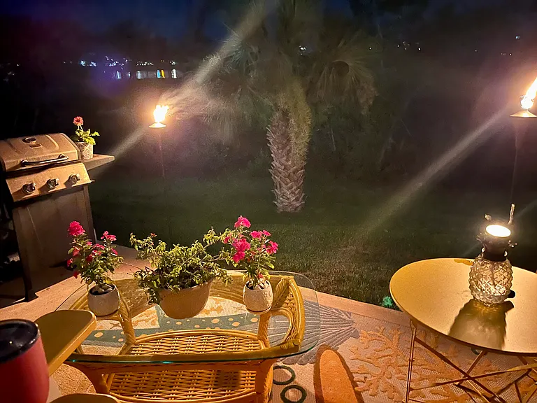 9438 Tara Cay Ct — Photo 32
