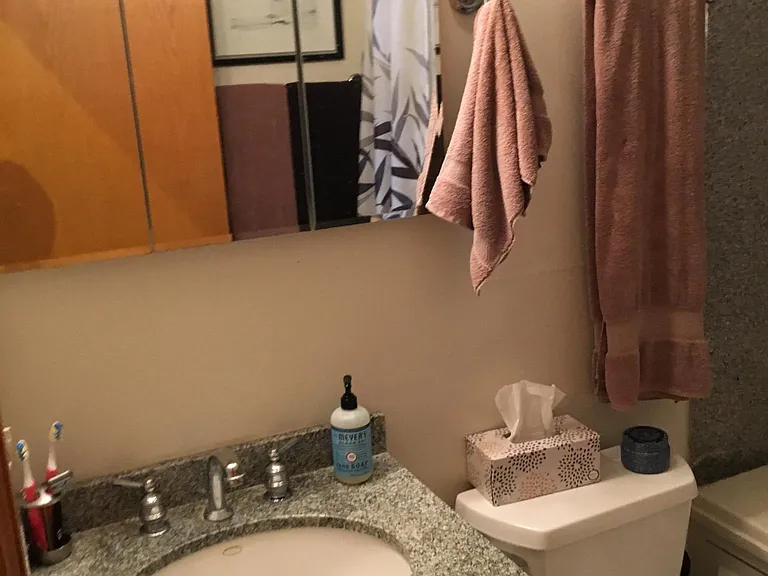 1162 W Grand Ave #3F — Photo 6