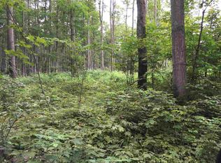 0 E 34th Rd, Boon, MI 49618