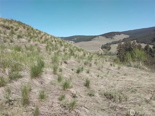 0 Gafvery Creek Road, Oroville, WA 98844