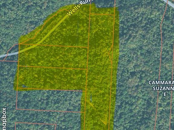 2nd image of Wells Run Rd