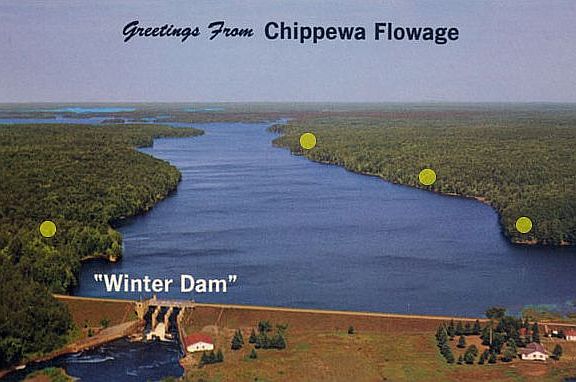 Boat landing and forest