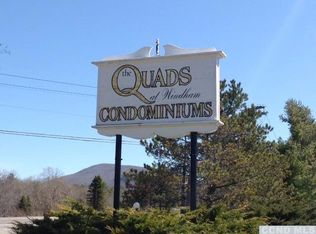 66 Quads Way, Windham, NY 12496