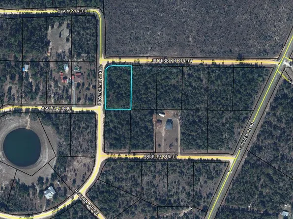 Beaverhead St, Alford, FL 32420