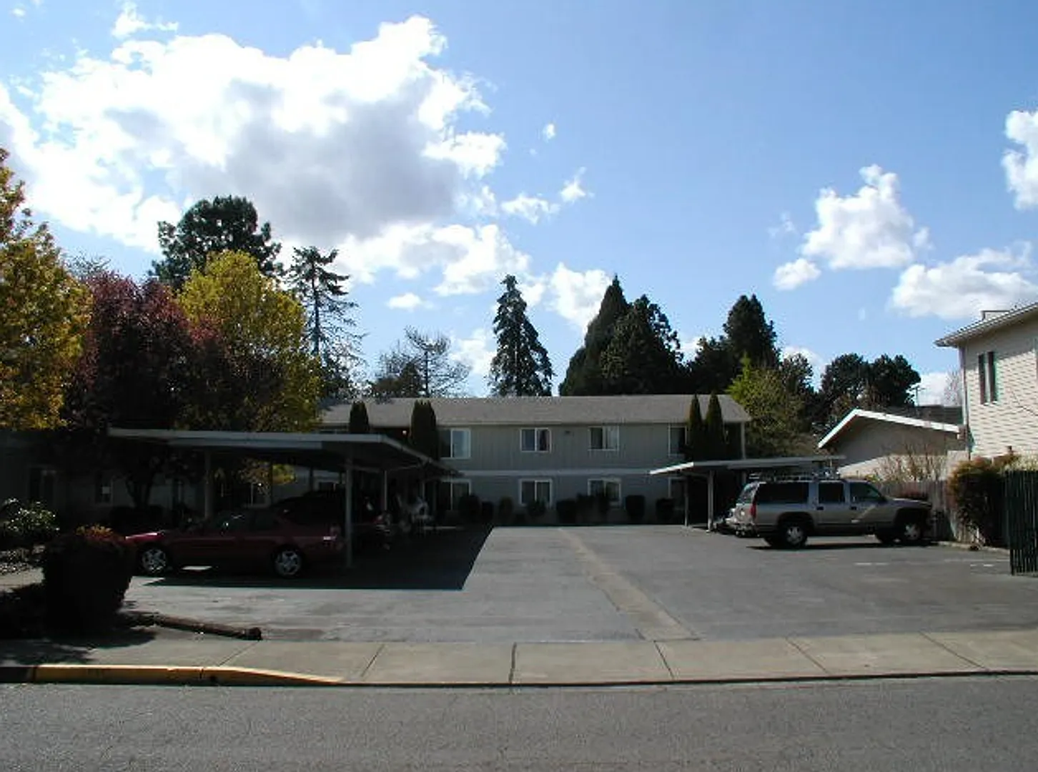 pufi01 — Photo 1