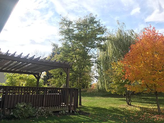 The backyard opens up to a 70 acre park. You don't see any neighbors straight up the hill!