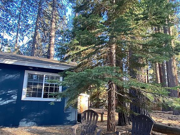 side of front yard