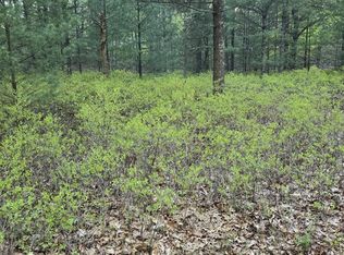 Pentwater Blvd, Pentwater, MI 49449