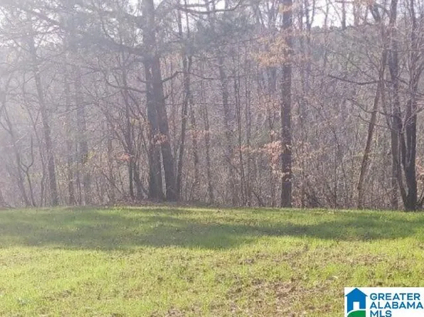 4405 Levine Ave #7, Graysville, AL 35073