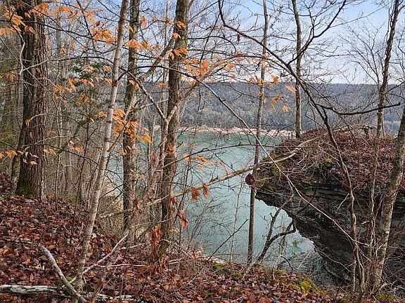 2nd image of 1 Lower Turkey Creek Rd