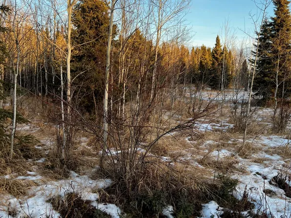 L48 Skylark Dr, Soldotna, AK 99669