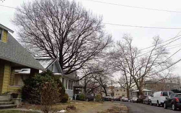 2nd image of 2771 N Congress Rd
