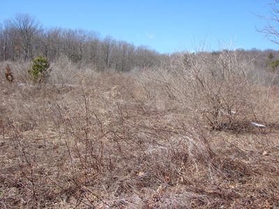 Borger Rd, Kunkletown, PA, 18058