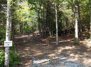 Township Road B East New Hope Rd, Ellijay, GA 30536