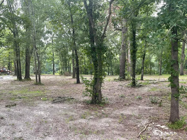 Lot 4 White Tail Lane, Watha, NC 28478