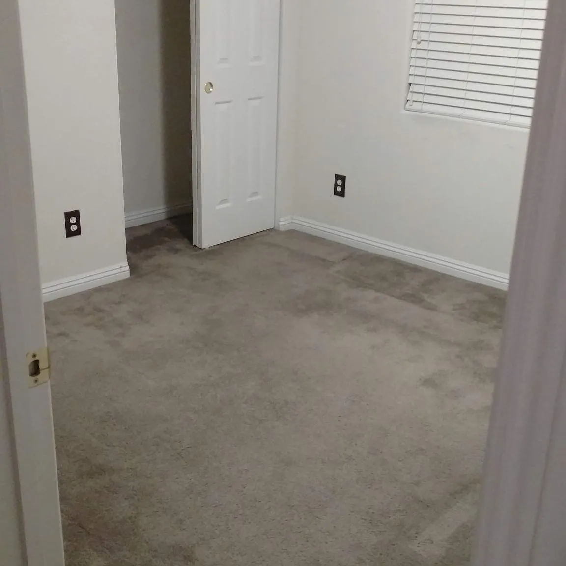 1093 Elation Ln — Photo 3