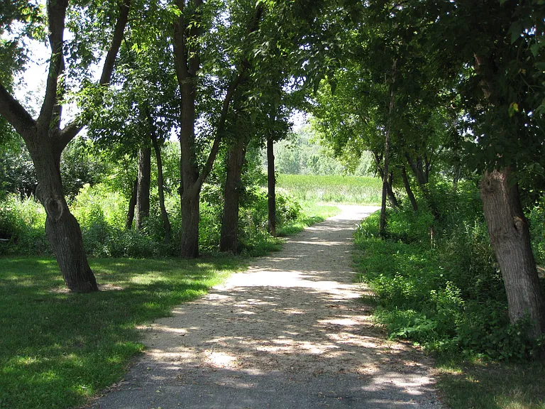 Saddlewood — Photo 12
