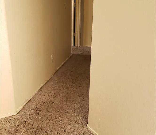 606 Lively Fiesta Way — Photo 13
