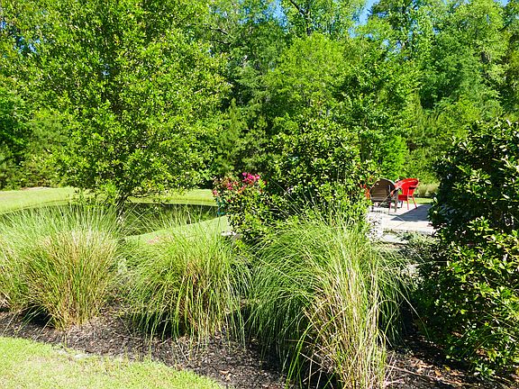 4th image of 156 Silver Cypress Cir