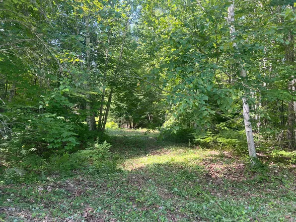 90 Bobcat Drive, Waltham, ME 04605