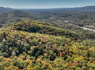 0 Patterson Ln, Blue Ridge, GA 30513