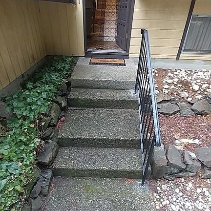 Entryway Steps with new rail