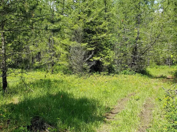 Nna Doris Ln, Oldtown, ID 83822