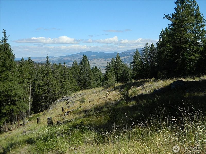 2nd image of 0 TBD Snowbunny Ridge Drive