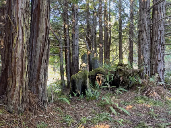 41514 Raven Court, The Sea Ranch, CA 95497