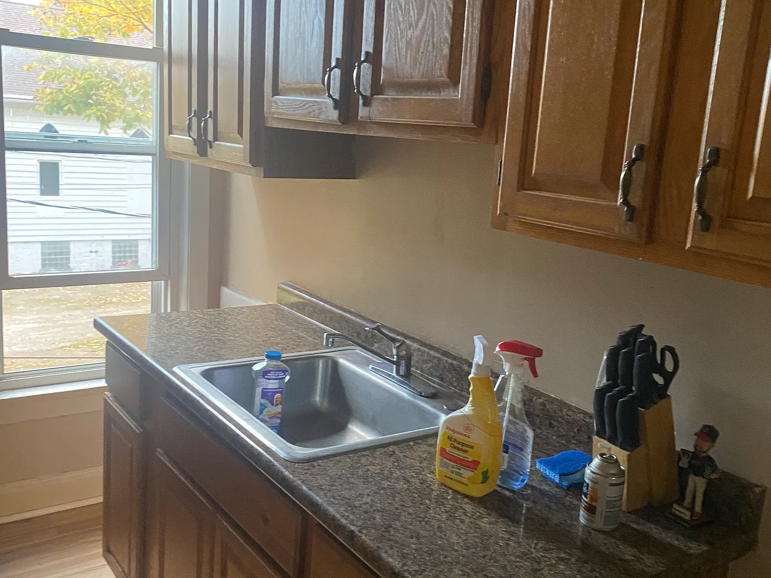 1 bed, $950 — Photo 4