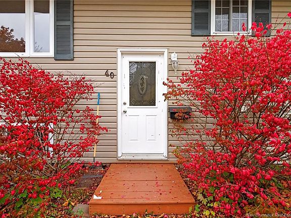 3rd image of 40 Ayres St