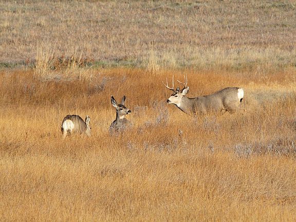 5th image of Tbd County Road 29