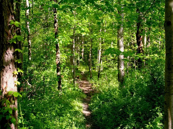 1 Pineview Ln, Denver, IA 50622