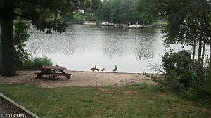 3rd image of 7705 West Dr