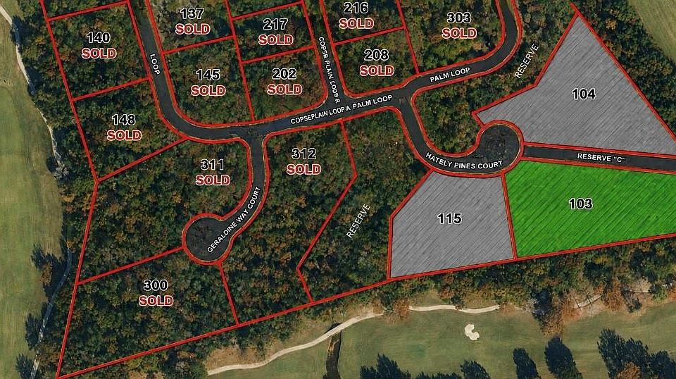 1st image of 103 Chateau Pines Ct