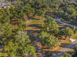 10241 SE 155th St #3, Summerfield, FL 34491