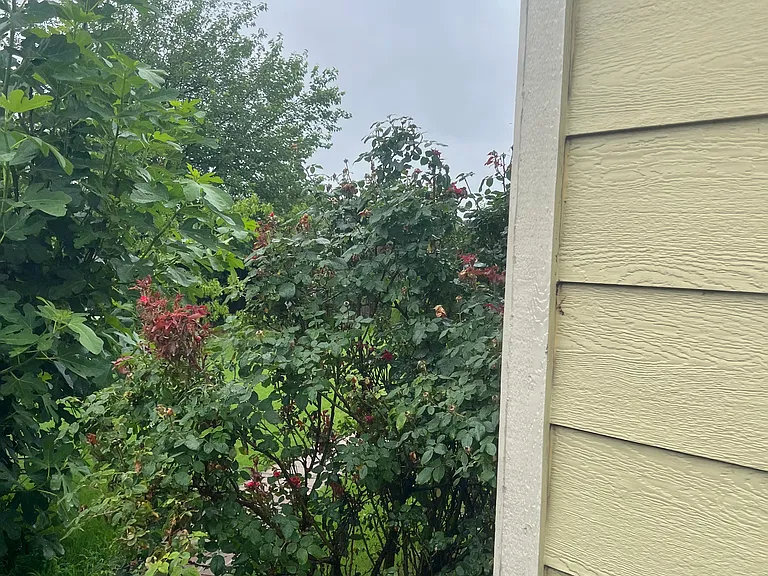 9323 S 95th Pl E — Photo 32