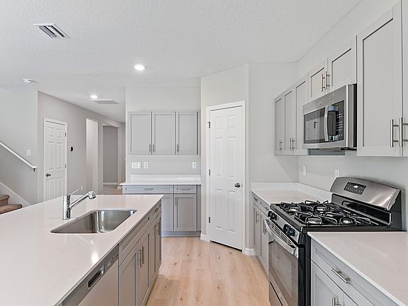 Lot-33-23-Gabriela-C-12730-Halter-Steer-Road-5780-web