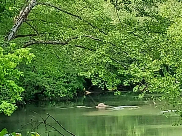 River Rd, Huntsville, TN 37756