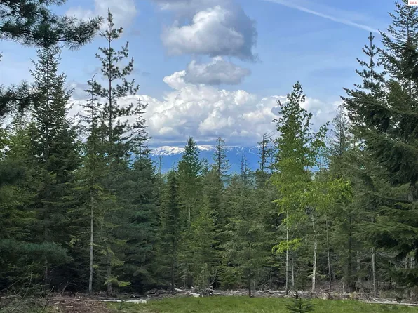 900 Rising Hawk Ridge Rd, Sandpoint, ID 83864