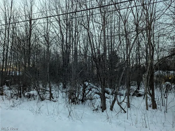 Morgan Rd, Montville, OH 44064