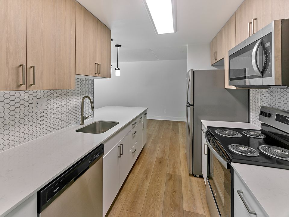 Sleek and Modern Kitchen