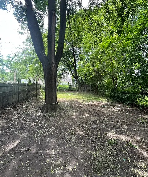 285 Wilder St — Photo 3