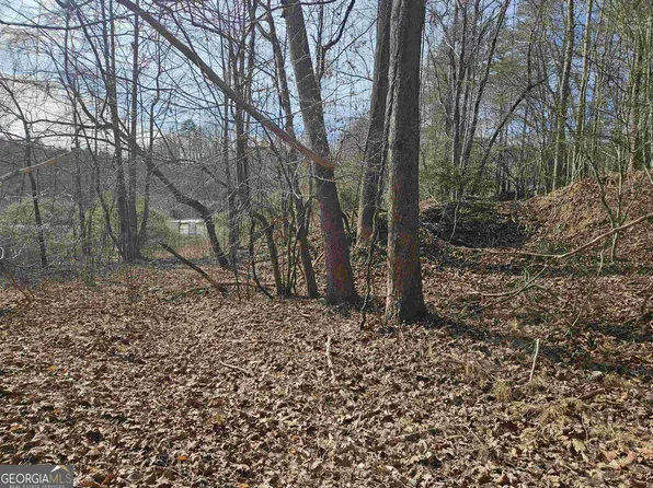 S Chestatee St, Dahlonega, GA 30533
