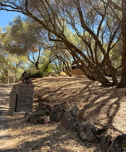 2330 Double O Mine Trl — Photo 47
