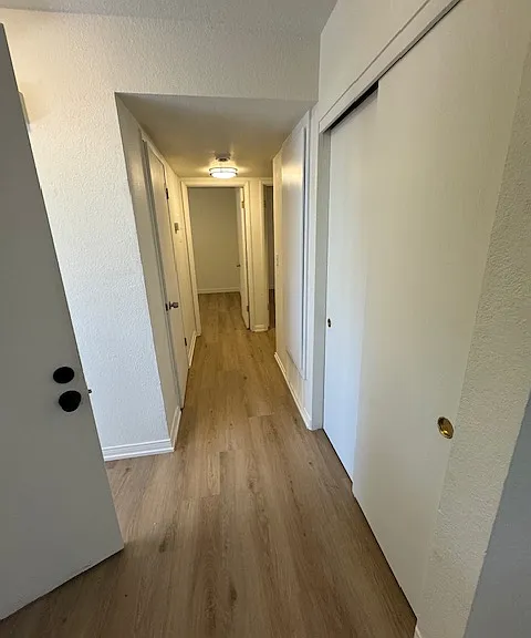 9305 Musselman Dr — Photo 24