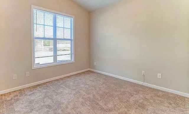 965 Downey Branch Ln — Photo 10