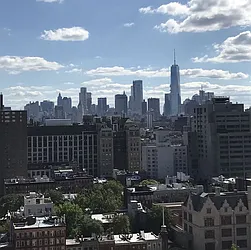 Rented by Sieber International