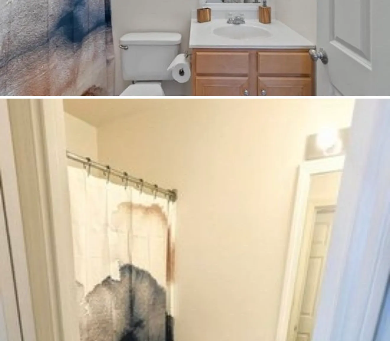 1 bed, 510 sqft, $1,800 — Photo 3